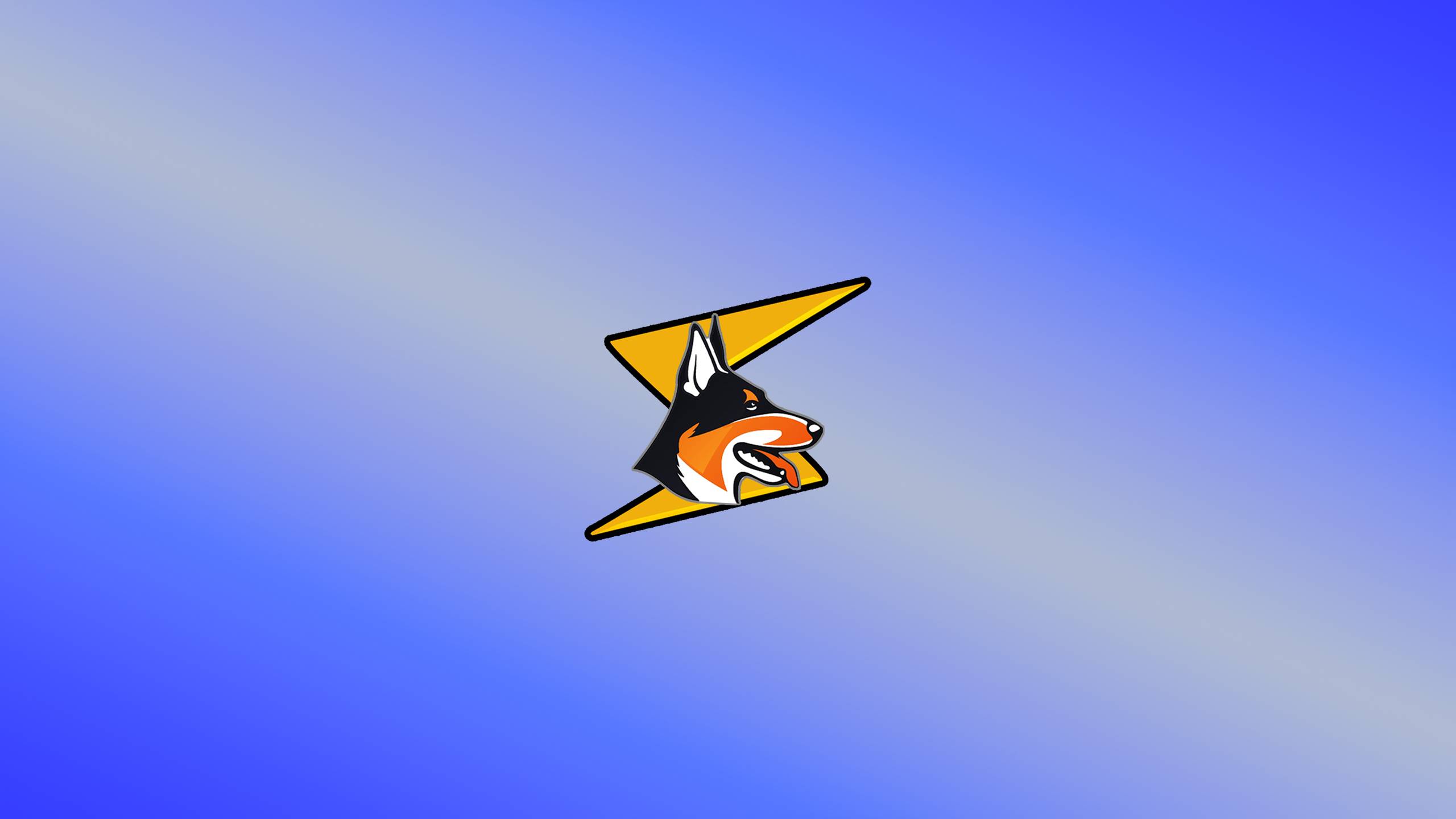 Hero Banner