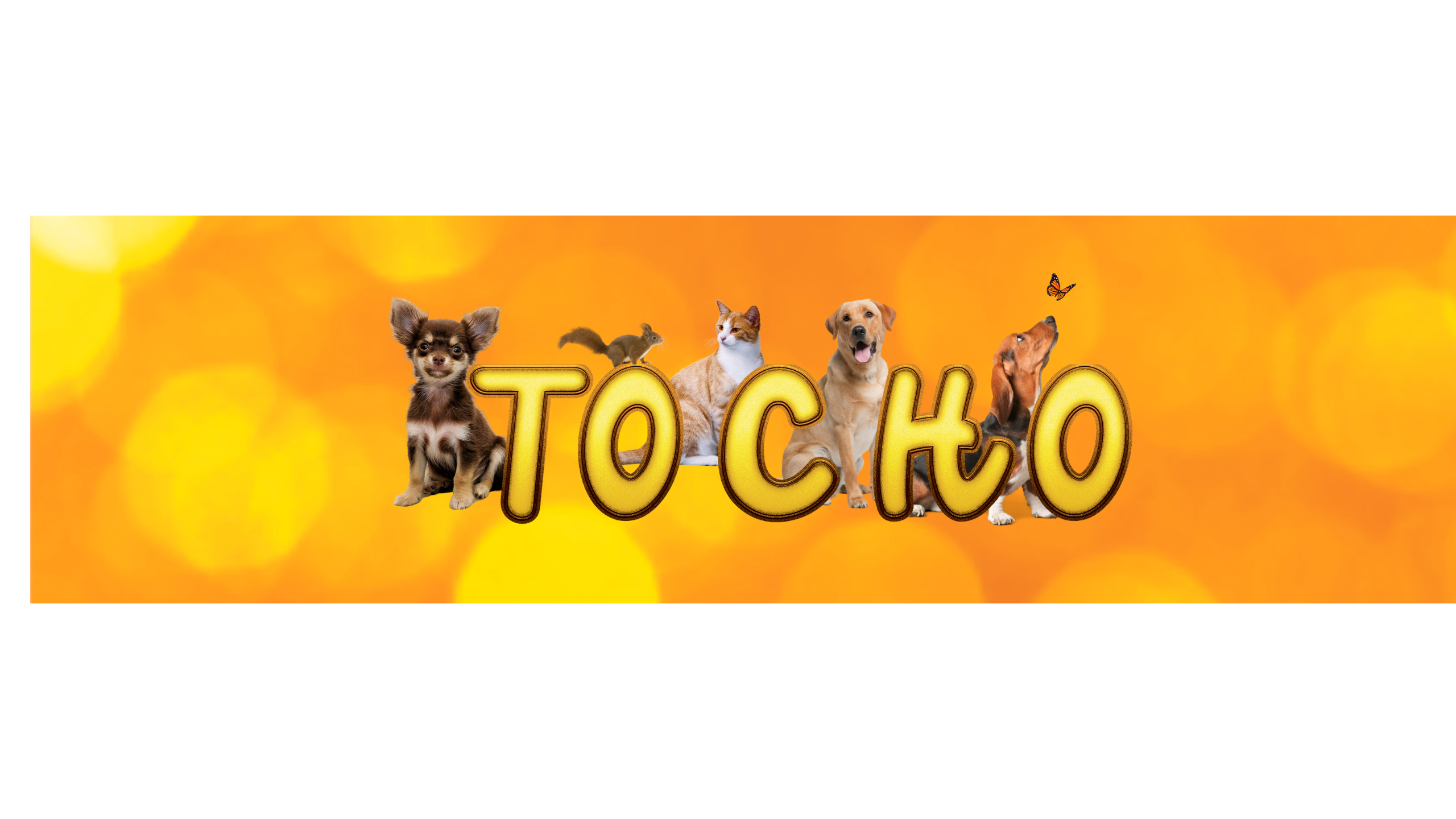 Hero Banner