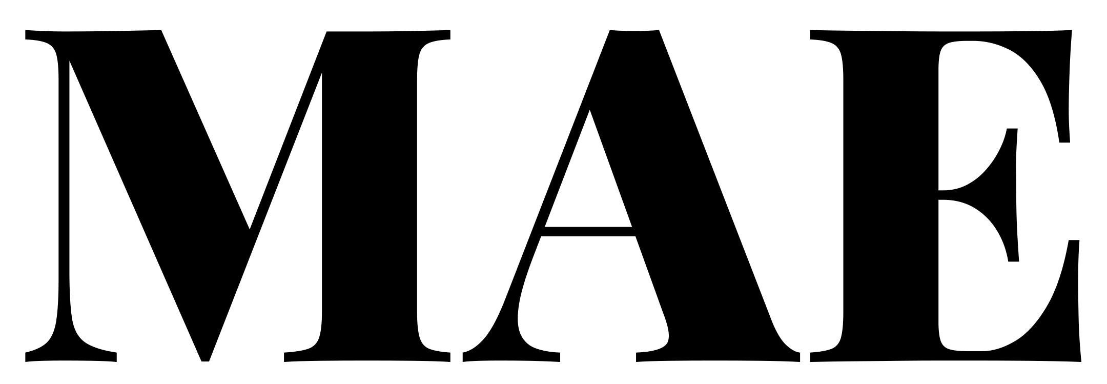 store logo