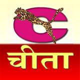 store logo
