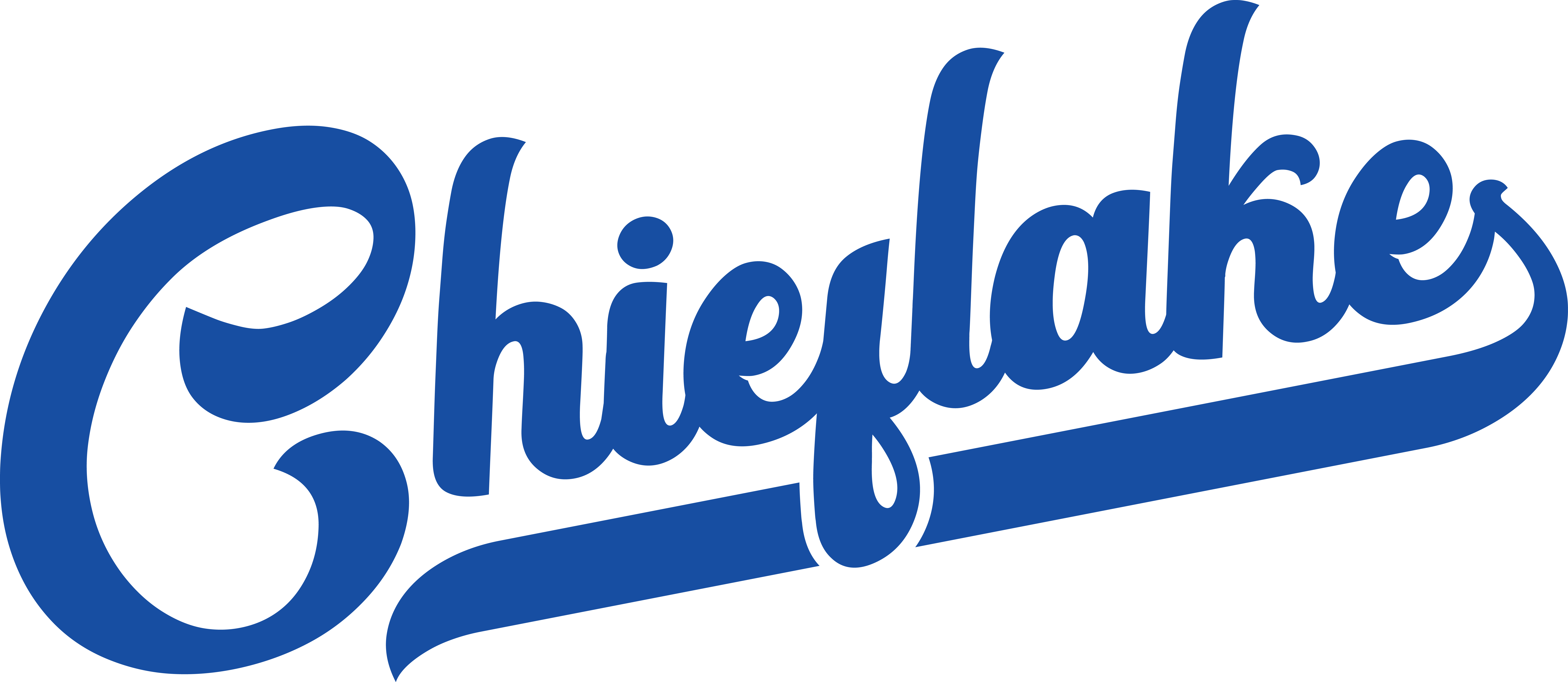 store logo