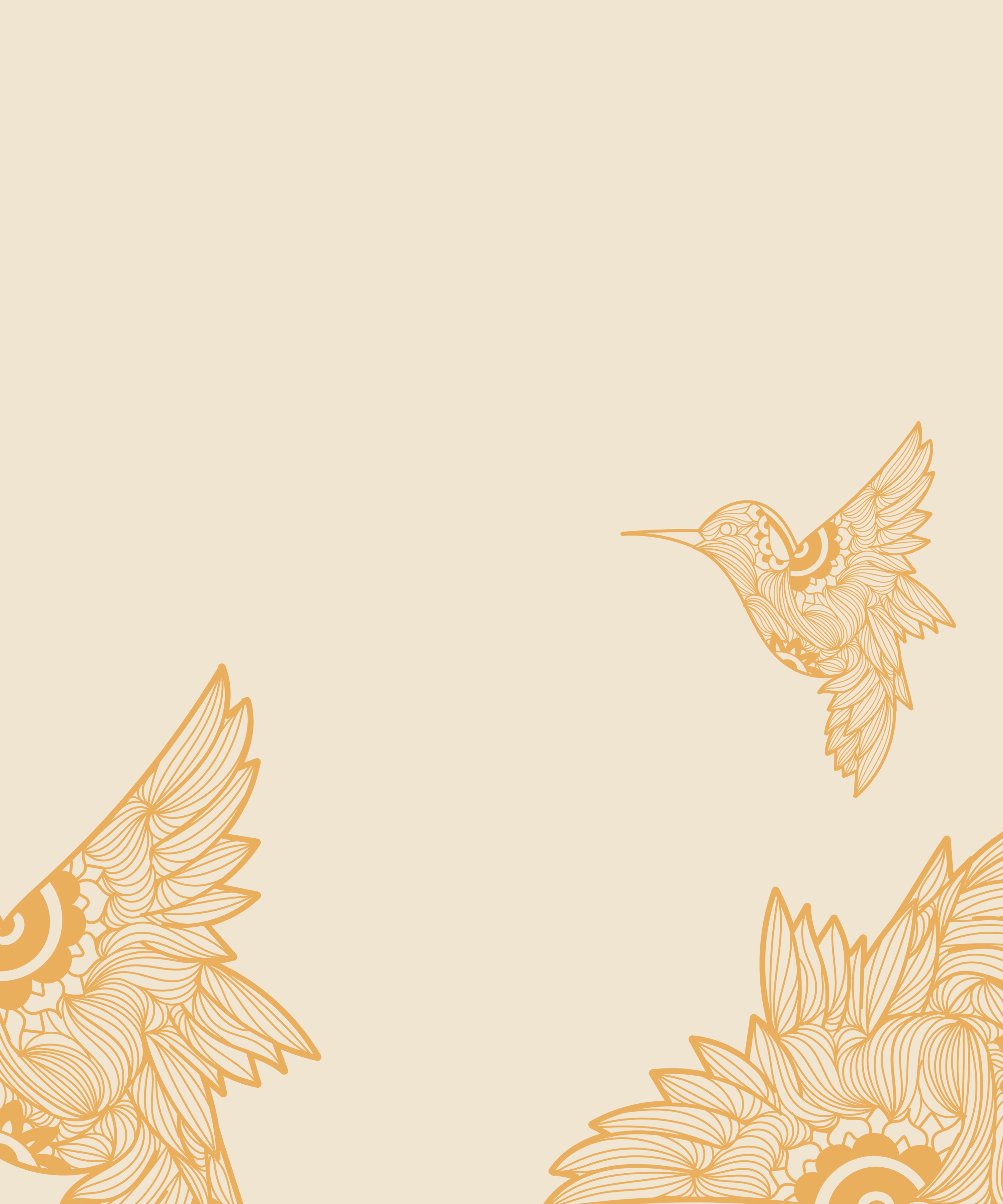 Hero Banner