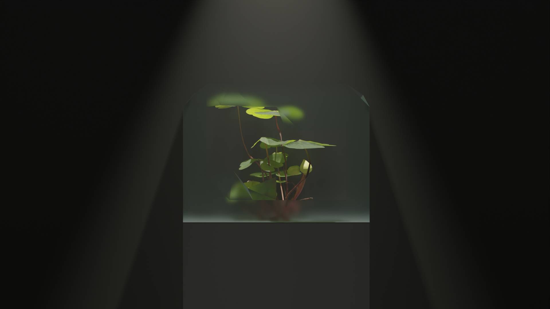 Hero Banner
