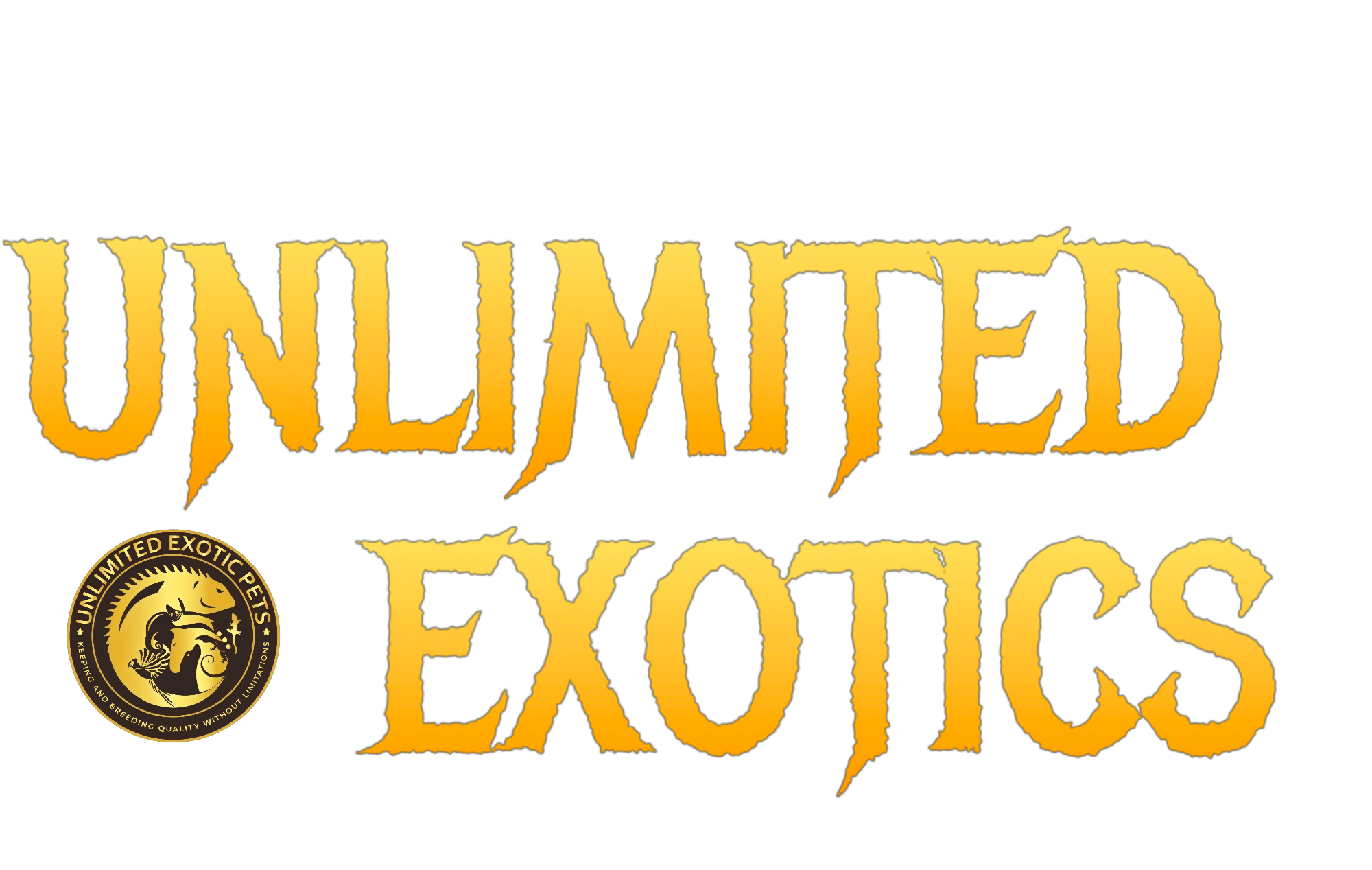store logo